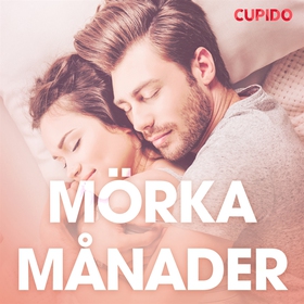 Mörka månader - erotiska noveller (ljudbok) av 