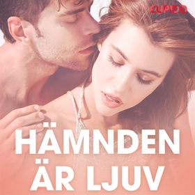 Hämnden är ljuv - erotiska noveller (ljudbok) a