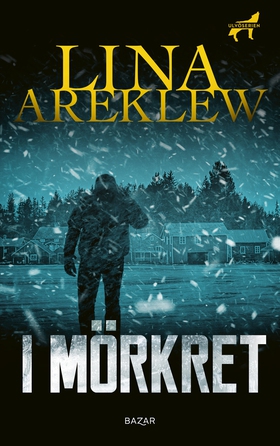 I mörkret (e-bok) av Lina Areklew