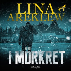 I mörkret (ljudbok) av Lina Areklew