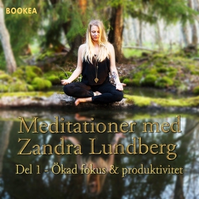 Ökad Fokus & produktivitet (ljudbok) av Zandra 