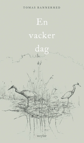 En vacker dag (e-bok) av Tomas Bannerhed