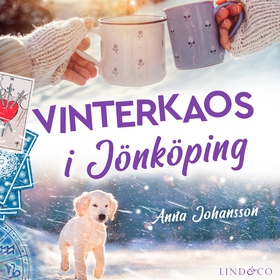 Vinterkaos i Jönköping (ljudbok) av Anna Johans