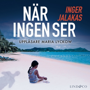 När ingen ser (ljudbok) av Inger Jalakas