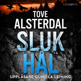 Slukhål (ljudbok) av Tove Alsterdal