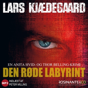 Den røde labyrint (lydbog) af Lars Kj