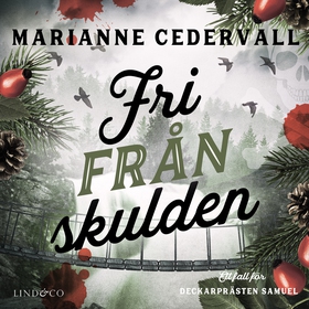 Fri från skulden (ljudbok) av Marianne Cederval