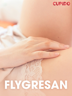 Flygresan - erotiska noveller (e-bok) av Cupido