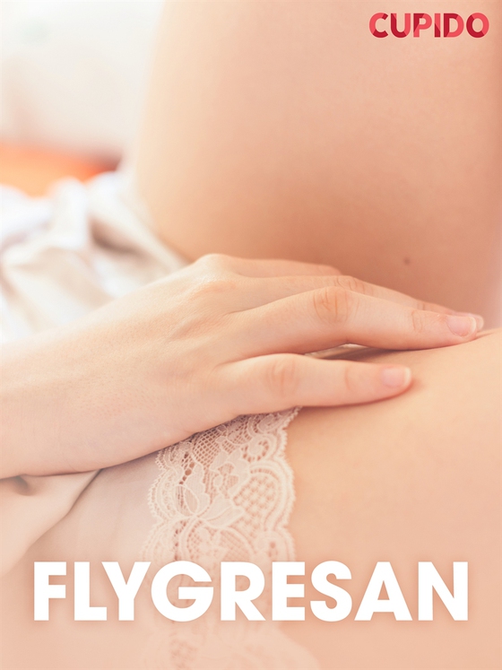 Flygresan - erotiska noveller