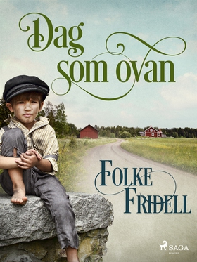 Dag som ovan (e-bok) av Folke Fridell