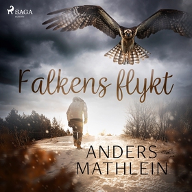 Falkens flykt (ljudbok) av Anders Mathlein