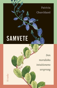 Samvete : Den moraliska intuitionens ursprung (