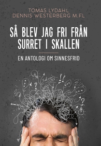 Så blev jag fri från surret i skallen : En anto
