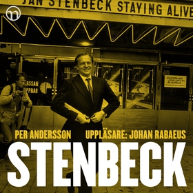 Stenbeck: En biografi över en framgångsrik affä