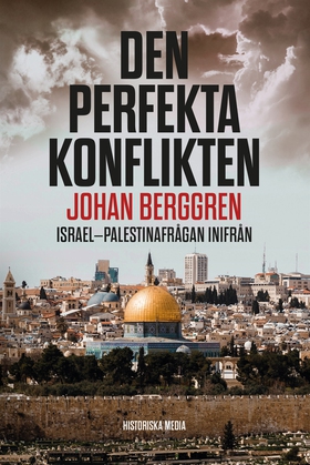 Den perfekta konflikten (e-bok) av Johan Berggr