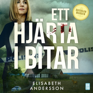 Ett hjärta i bitar (ljudbok) av Elisabeth Ander
