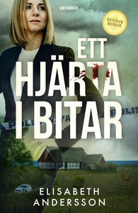Ett hjärta i bitar (e-bok) av Elisabeth Anderss