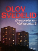 Elva noveller om Rådhusgatan 8