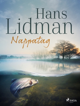 Nappatag (e-bok) av Hans Lidman