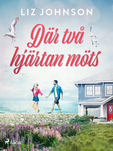 Där två hjärtan möts (e-bok) av Liz Johnson