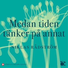 Medan tiden tänker på annat (ljudbok) av Niklas