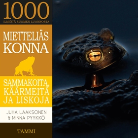 Mietteliäs konna (ljudbok) av Juha Laaksonen, M