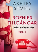 Sophies tillgångar vol. 1: Ljudet av hans röst - erotisk novell