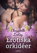 Erotiska orkidéer - erotisk novell