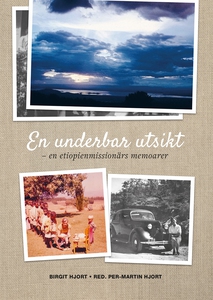 EN UNDERBAR UTSIKT - Birgit Hjorts memoarer (e-