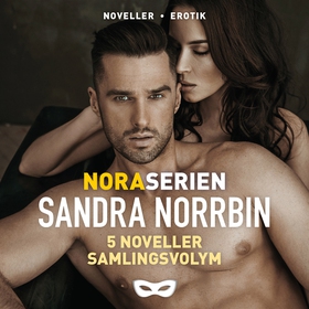 Noraserien 5 noveller samlingsvolym (ljudbok) a