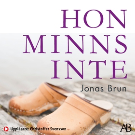 Hon minns inte (ljudbok) av Jonas Brun