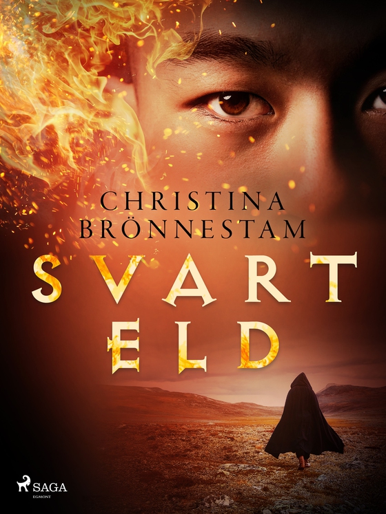 Svart eld (e-bok) av Christina Brönnestam