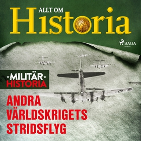 Andra världskrigets stridsflyg (ljudbok) av All