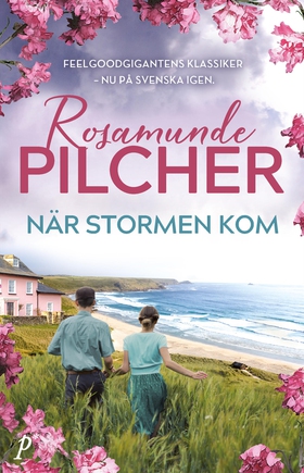 När stormen kom (e-bok) av Rosamunde Pilcher