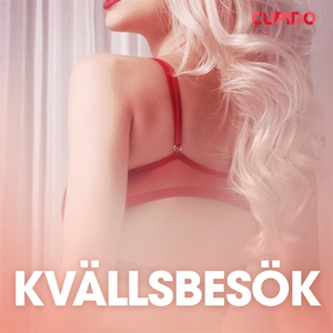 Kvällsbesök - erotiska noveller (ljudbok) av Cu