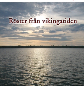 Röster från vikingatiden (ljudbok) av Hjalmar O