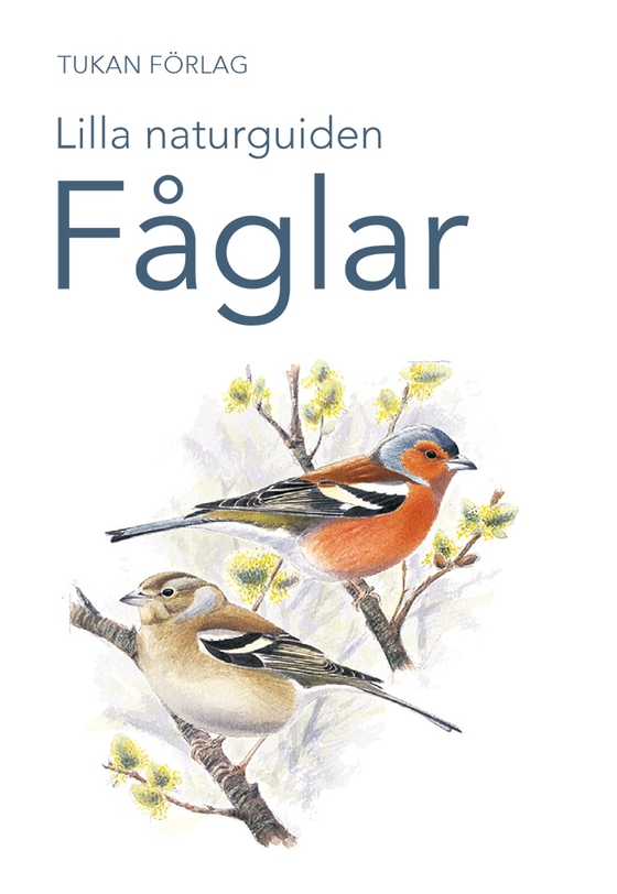 Lilla naturguiden: fåglar