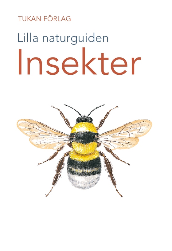Lilla naturguiden: insekter