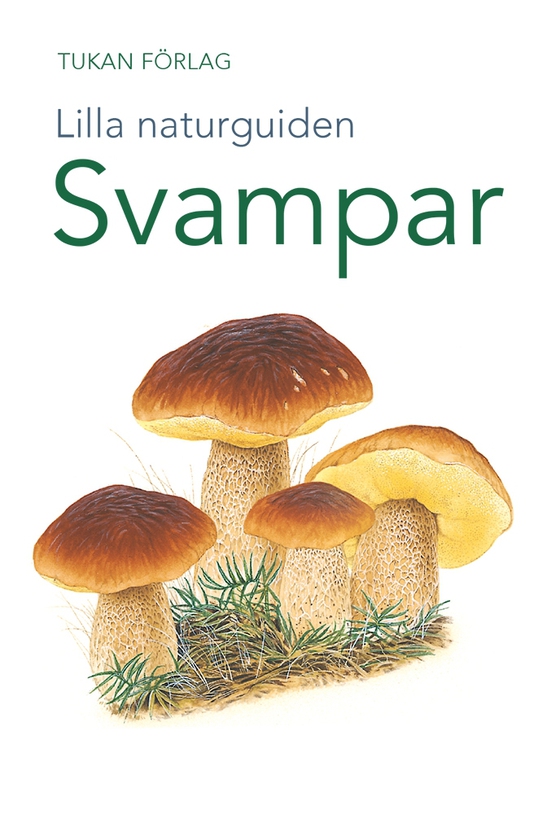Lilla naturguiden: svampar