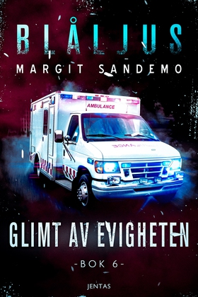 Blåljus 6 - Glimt av evigheten (e-bok) av Margi