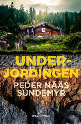 Underjordingen (e-bok) av Peder Nääs Sundemyr