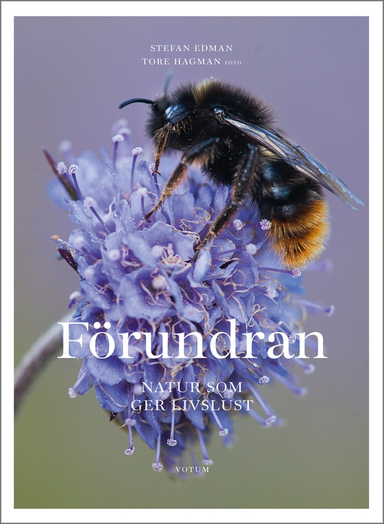 Förundran - Natur som ger livslust