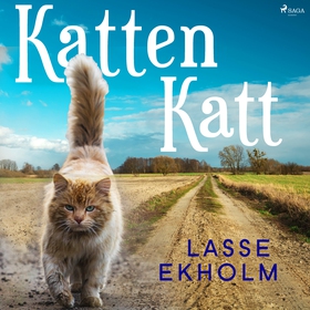 Katten Katt (ljudbok) av Lasse Ekholm