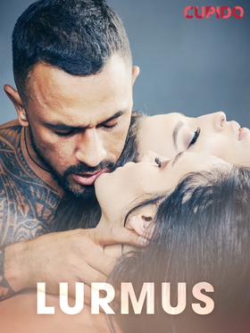 Lurmus - erotiska noveller (e-bok) av Cupido