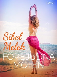 Förbjudna möten - erotisk novell (e-bok) av Sib