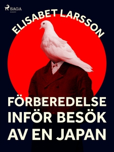 Förberedelse inför besök av en japan (e-bok) av