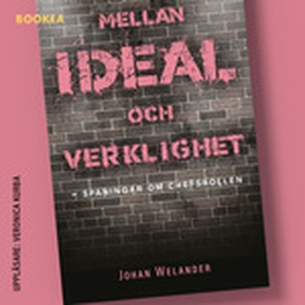 Mellan ideal och verklighet (ljudbok) av Johan 