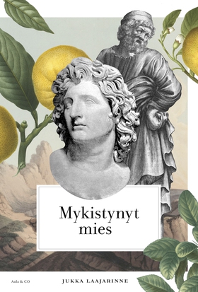 Mykistynyt mies (e-bok) av Jukka Laajarinne
