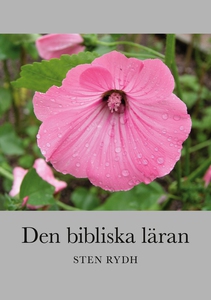 Den bibliska läran: En sammanfattning av den ev
