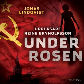 Under Rosen (ljudbok) av Jonas Lindqvist